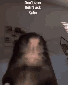 Dont Care Ratio GIF - Dont Care Ratio Didnt Ask GIFs