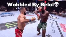 two men are fighting in a boxing ring and the words wobbled by belal are above them