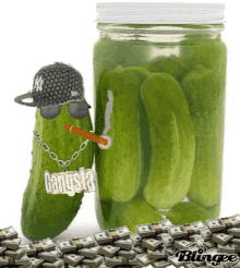 gangsta pickle pickle appreciation day pickle day pickles dance