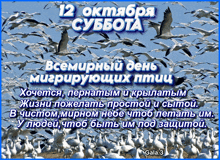 a picture of a flock of birds with the date of 12 october