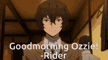 Ozzie Rider GIF