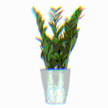 Plante Vert Glitch GIF - Plante Vert Glitch Plante Verte Glitched GIFs