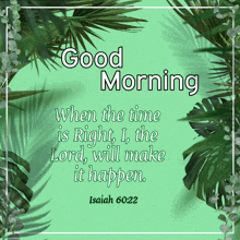 a green background with palm leaves and a quote from isaiah