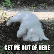 Get Me Out Of Here Outta Here GIF - Get Me Out Of Here Get Me Out Outta Here GIFs