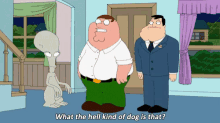 American Dad What Kind Of Dog Is That GIF - American Dad What Kind Of Dog Is That Family Guy GIFs