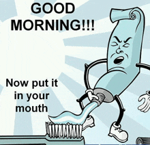 Morning Morning Bitches GIF - Morning Morning Bitches GIFs