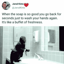 absurd monkey humor when the soap is good go back
