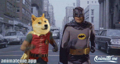 Doge Doge Coin GIF - Doge Doge Coin Batman - Discover & Share GIFs