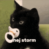 Hej Storm GIF - Hej Storm Storm GIFs