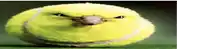 a yellow tennis ball with an angry face on it