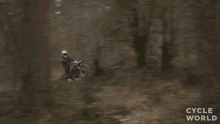 Stunt Cycle World GIF