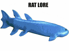 Rat Lore Lore GIF - Rat Lore Lore Rat GIFs