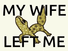 My Wife GIF - My Wife Left GIFs