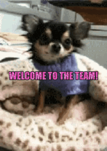 Welcome To The Team Smile GIF