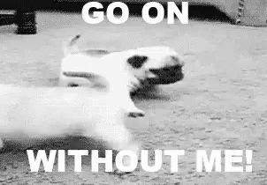 go on without me meme