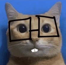 a close up of a cat wearing glasses with a drawing of windows on its face .