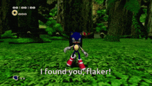 Flaker Sonic Flaker GIF - Flaker Sonic Flaker I Found You Flaker GIFs
