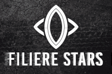 Filiere Stars Simracing GIF - Filiere Stars Stars Filiere GIFs