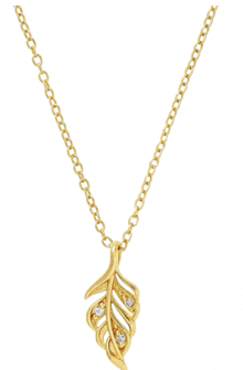 a gold necklace with a feather shaped pendant