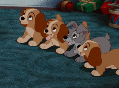 Puppy Power!! GIF - Lady And The Tramp Dogs Puppies - Discover & Share GIFs