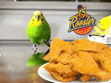 Rooster Crispy Chicken Run GIF - Rooster Crispy Chicken Run Parrot GIFs