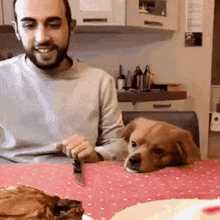 You Eat This GIF - You Eat This GIFs