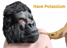 Have Potassium GIF