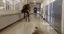 Dragged Horse GIF - Dragged Horse Ouch GIFs