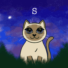 Sweet Dreams GIF - Sweet Dreams Cat GIFs