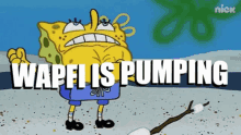 a cartoon of spongebob with the words waffles is pumping