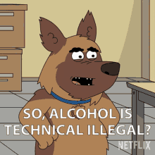 So Alcohol Is Technical Illegal Bullet GIF