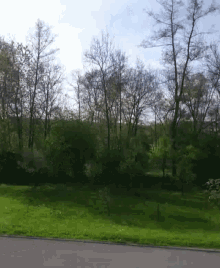 Nature Field GIF - Nature Field Trees GIFs