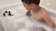 Bath Time This Is Happening GIF - Bath Time This Is Happening Ducks GIFs