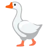 a white goose with an orange beak and orange legs