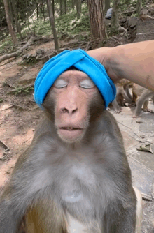 a monkey wearing a blue turban is being petted