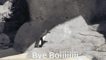 Bye-boiii Bye-boy GIF - Bye-boiii Bye-boy Bye-boiii-penguin GIFs