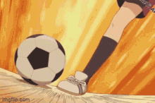 a person kicking a soccer ball with the url imgflip.com visible