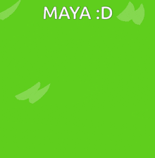 a book with arms and legs and the name maya d on it
