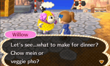 a video game character named willow is talking to a girl
