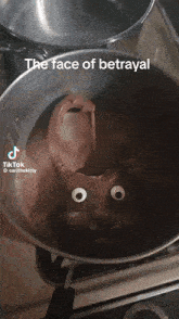 a pot of melted chocolate with the face of betrayal written on the top