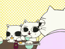 Cat Soup Work GIF - Cat Soup Work Lazy GIFs