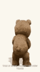 a teddy bear is standing on a white background holding a can .