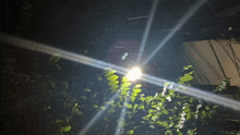a light shines brightly in the dark surrounded by leaves