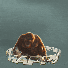 Happy Happy Monkey GIF - Happy Happy Monkey Joke GIFs
