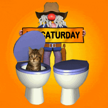 Toilet Caturday Saturday GIF - Toilet Caturday Saturday Caturday GIFs