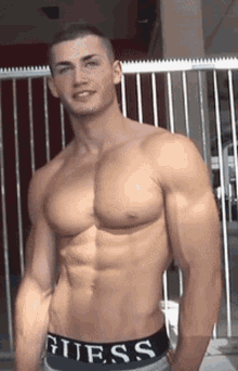 Muscle Man GIF - Muscle Man Posing GIFs