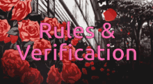 Rules Verification GIF