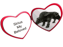 Sotc Sirius GIF - Sotc Sirius Sotc Sirius GIFs