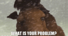 Ice Age Manny GIF - Ice Age Manny What Is Your Problem GIFs