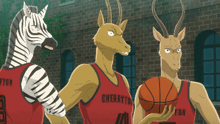 a zebra and two antelope wearing jerseys that say cherryton are holding a basketball